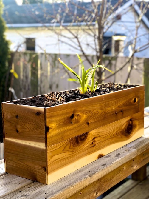 Planters Handcrafted in Winnipeg , Cement , Wood , Metal